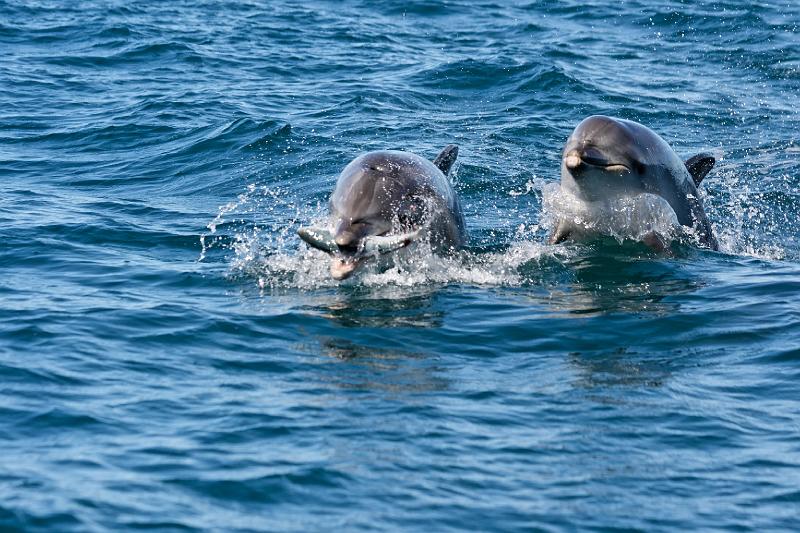 2007 04 06 Abel Tasman 040_DXO.jpg